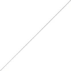 Ragot Aiguille À Ver Avec Embout - Par 2