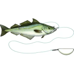 Westin Bas De Ligne Halibut Anti Twist Rig
