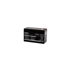 PBQ Batterie Lithium 12.8V 10Ah Pour Sondeur