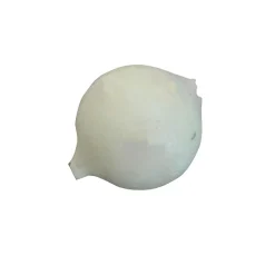 Pafex Billes Polystyrene