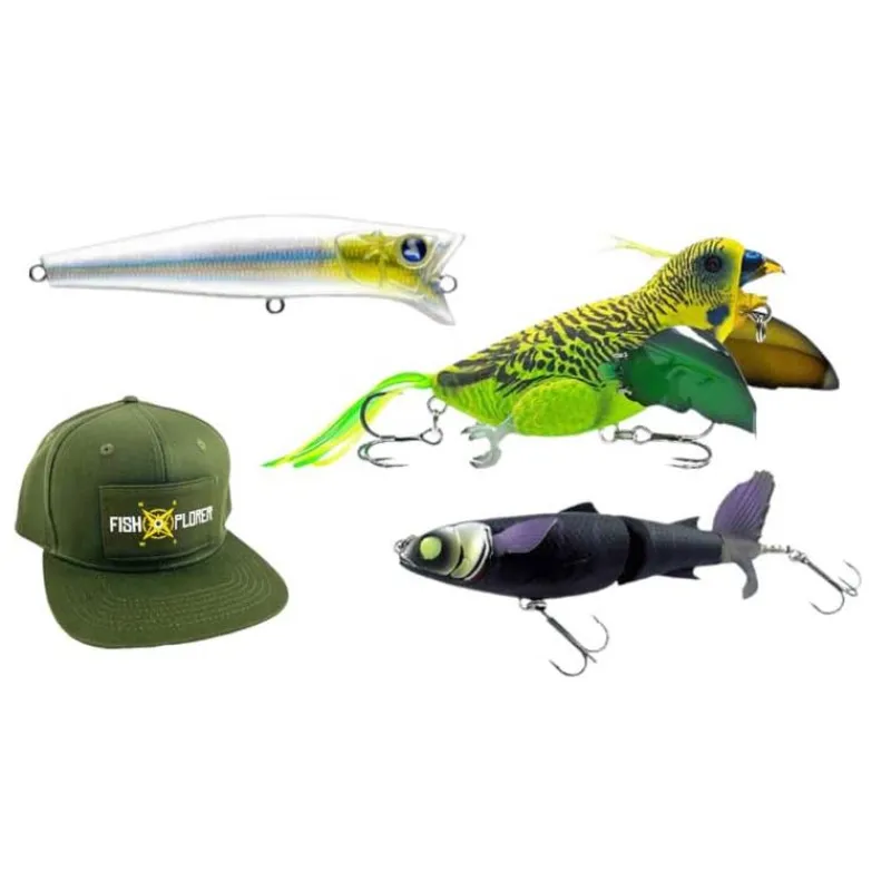 Fishxplorer Box Découverte Top Water Deal