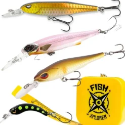 Fishxplorer Box Truite Poissons Nageur