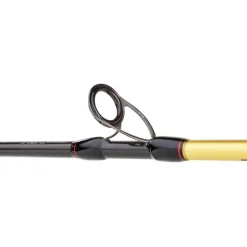 Daiwa Canne Casting Grandwave