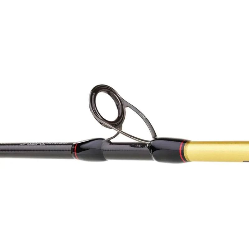 Daiwa Canne Casting Grandwave