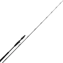 N.S Black Hole Canne Casting Boca Slow Jigging