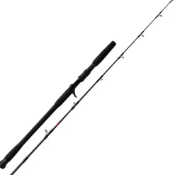 N.S Black Hole Canne Casting Dark Horse Ii Jigging
