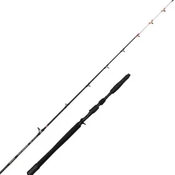 Penn Canne Casting Marine Brigade Dentex