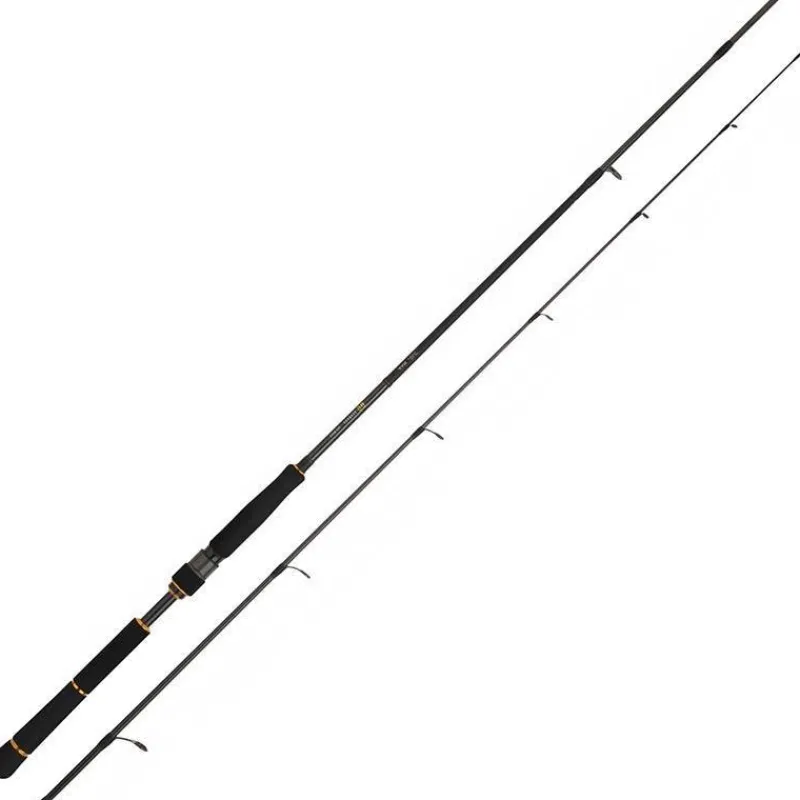 Daiwa Canne Black Gold Seabass