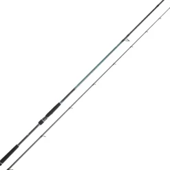 Daiwa Canne Caldia Seabass