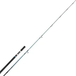 Daiwa Canne Grandwave Off Shore