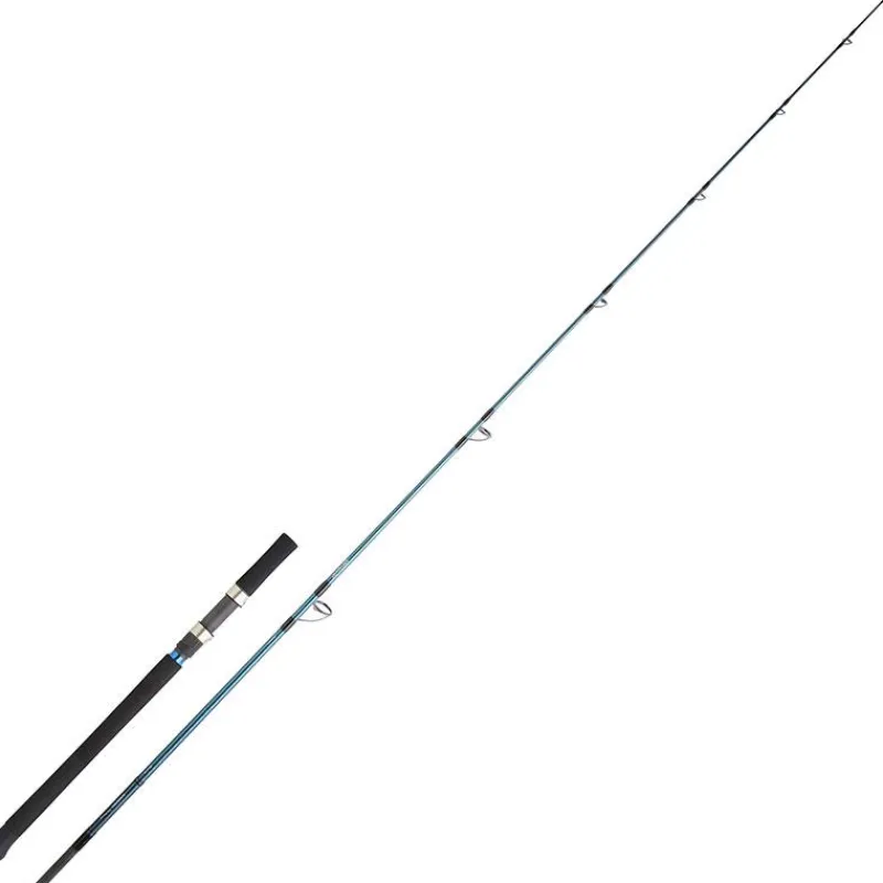 Daiwa Canne Grandwave Off Shore