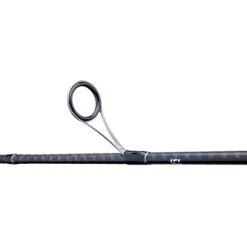 Daiwa Canne Legalis Seabass