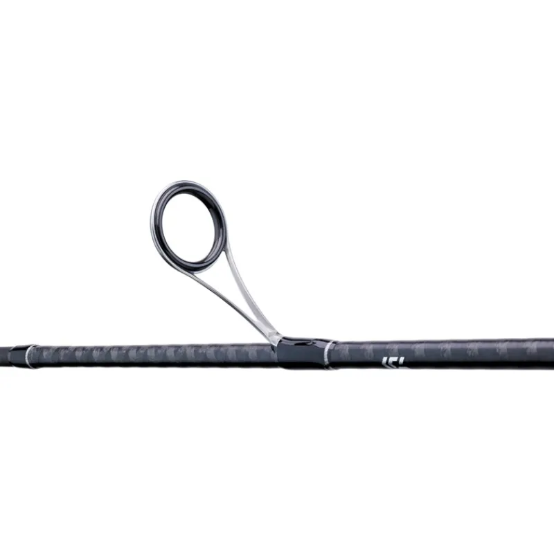Daiwa Canne Legalis Seabass