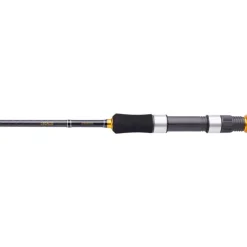 Daiwa Canne Legalis Seabass