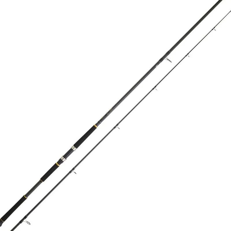 Daiwa Canne Legalis Shore Jigging