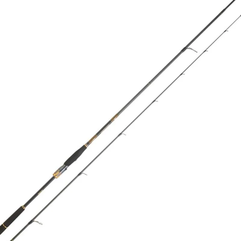 Daiwa Canne Morethan Branzino Expert