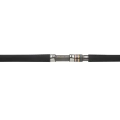 Daiwa Canne Morethan Branzino Expert