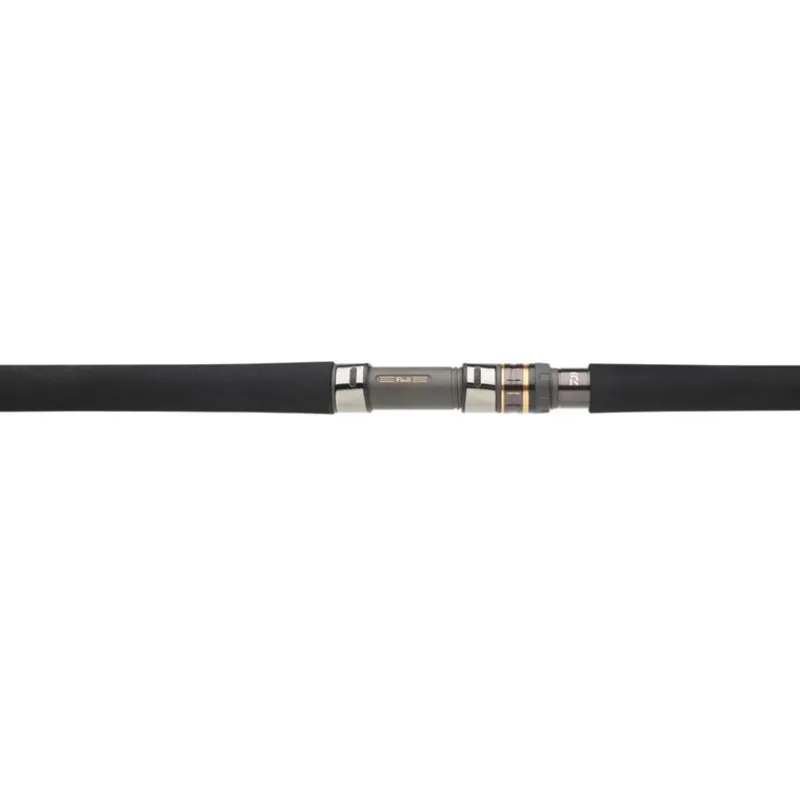 Daiwa Canne Morethan Branzino Expert