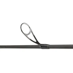 Daiwa Canne Morethan Branzino Expert