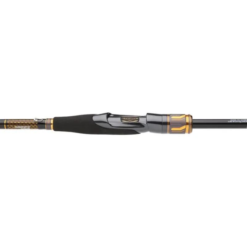 Daiwa Canne Morethan Branzino Expert