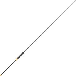 Daiwa Canne Saltiga Slow Jigging