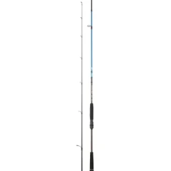 Daiwa Canne Spitfire Seabass