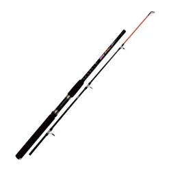 Autain Canne Mer Mer 180