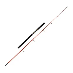 Tenryu Canne Mer Furrary Racing