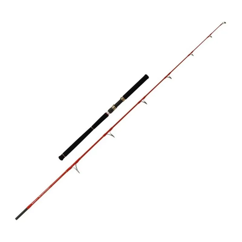 Tenryu Canne Mer Furrary Racing
