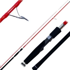 Tenryu Canne Mer Shore Dragon