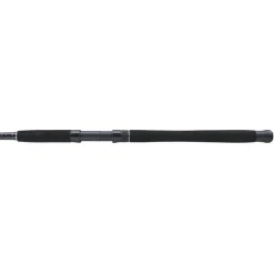 Mitchell Canne Tanager Sw Boat Rod