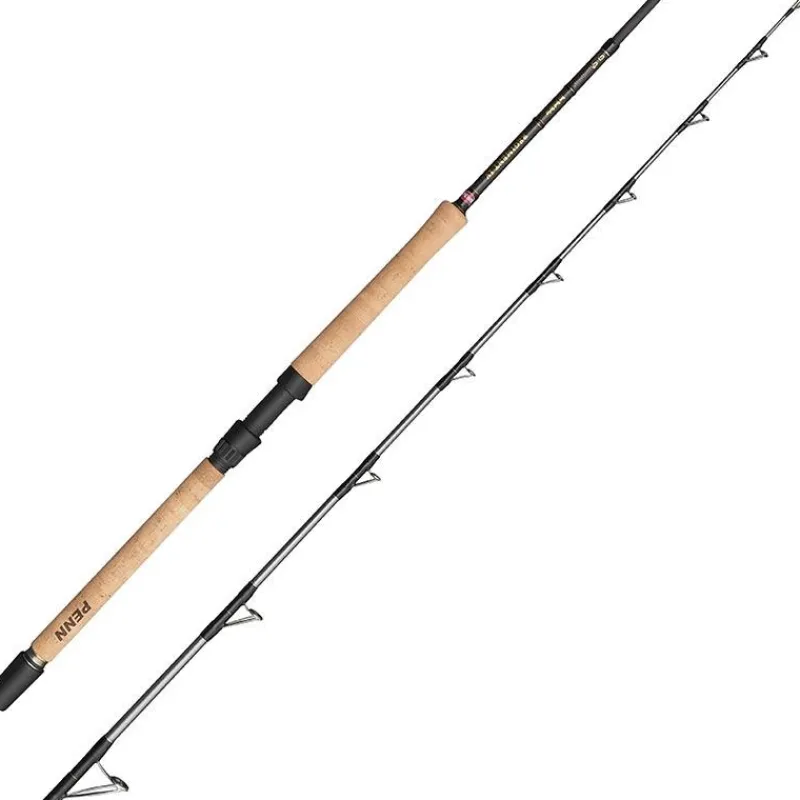 Penn Canne Regiment Iv Pro Boat Rod