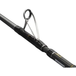 Penn Canne Regiment Iv Pro Boat Rod