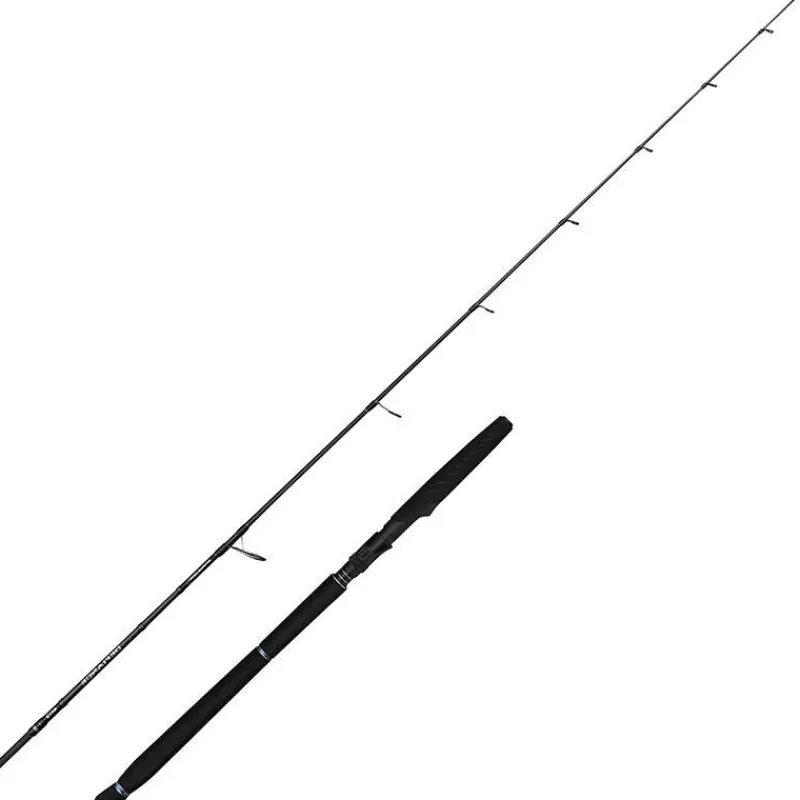 Savage Gear Canne Defiance Sg2 Jigging
