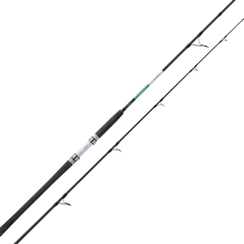 Balzer Canne Spinning 71° North Power Pilk