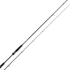 Daiwa Canne Spinning Bg Rf