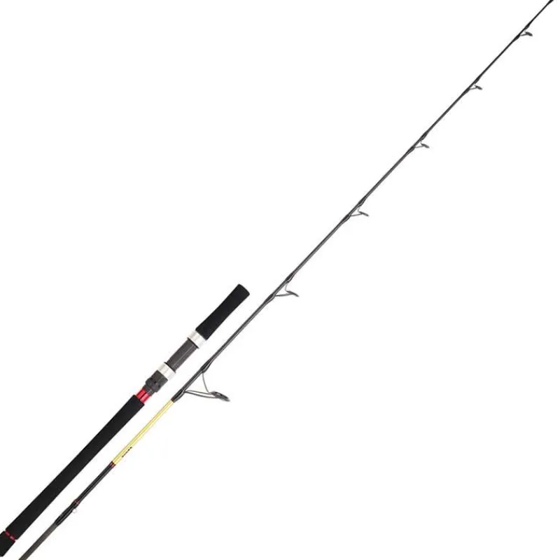 Daiwa Canne Spinning Grandwave