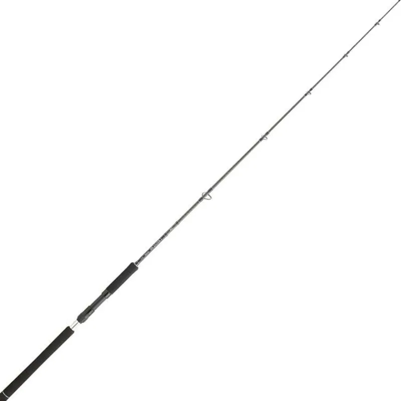 Daiwa Canne Spinning Legalis Jigging
