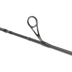 Daiwa Canne Spinning Prorex Ags Spinning