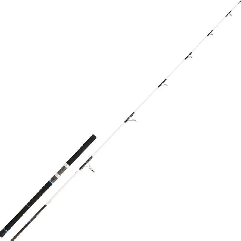 Daiwa Canne Spinning Saltist
