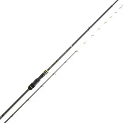 Daiwa Canne Spinning Team Tenya