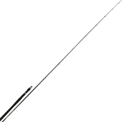 K-One Canne Spinning K1-3009 Sparidae Specimen