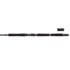 Penn Canne Spinning Squadron Iii Inner Boat Spinning Rod