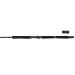 Penn Canne Spinning Squadron Iii Boat Spinning Rod