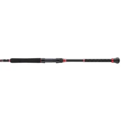 Penn Canne Spinning Squadron Iii Boat Sensitip Spinning Rod