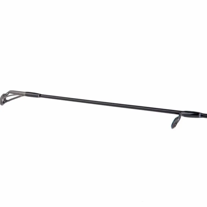 Shimano Canne Spinning Bassterra A Seabass