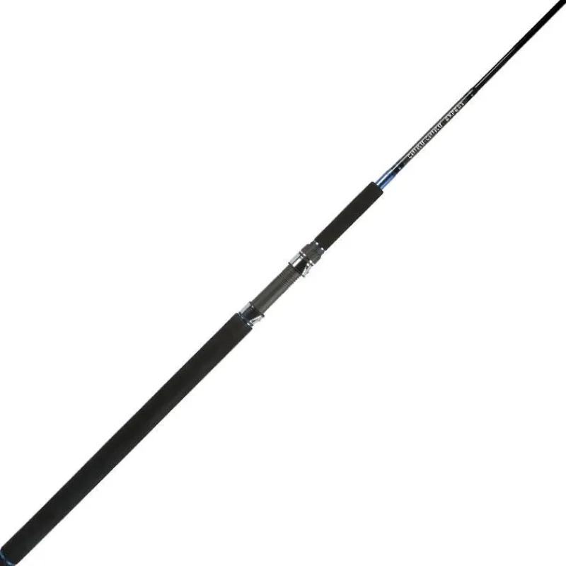Smith Canne Spinning Chiku Chiku 69 Expert
