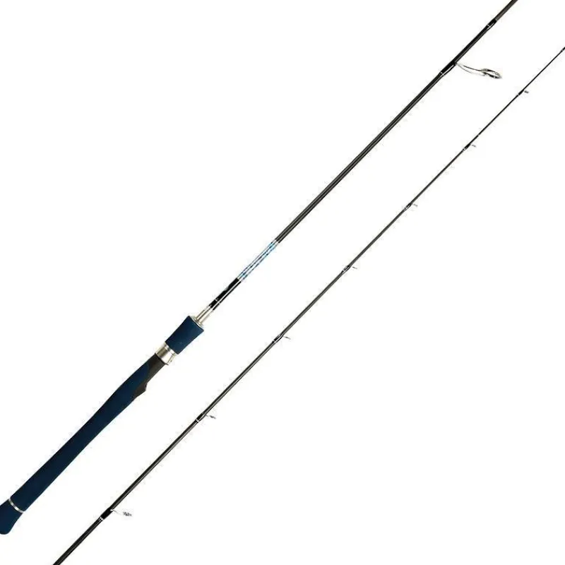 Smith Canne Spinning Dragonbait Seabass Lx