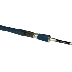 Smith Canne Spinning Dragonbait Seabass Lx