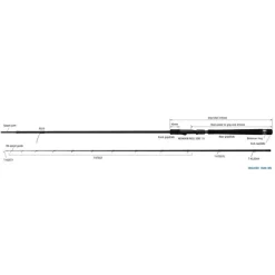 Zenaq Canne Spinning Inqlude